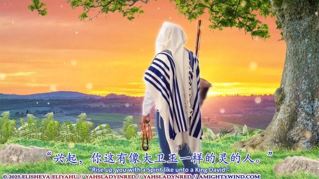 圣灵全能风事工第45篇预言：兴起，我的儿子们，那些有像大卫王之灵的人！